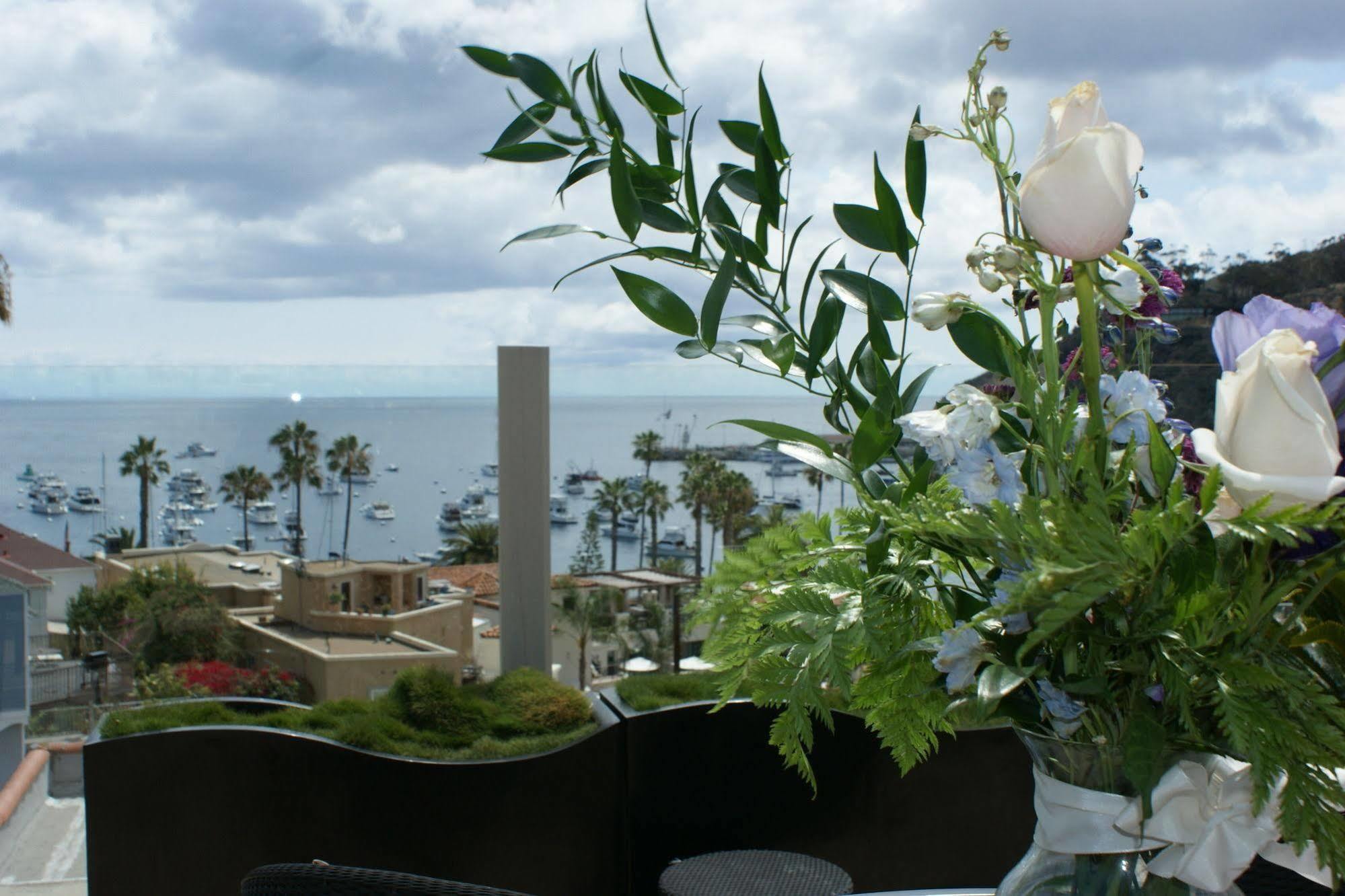 Aurora Hotel Avalon Εξωτερικό φωτογραφία